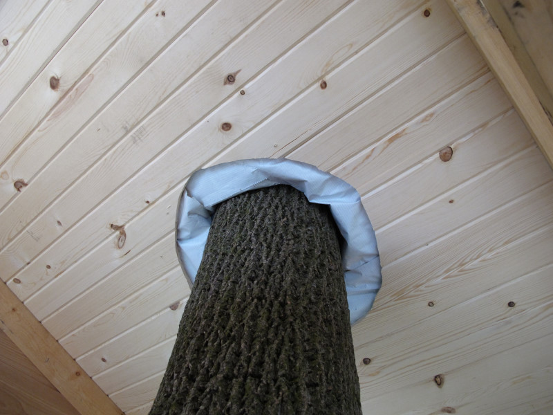 The trunk that went through the middle of the house was trickier to