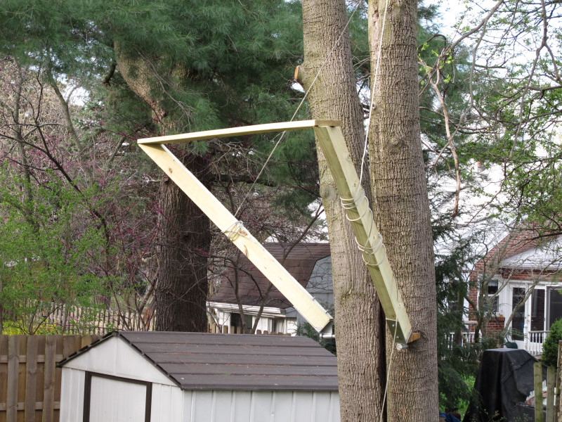 The Bradd S Treehouse And Other Important Matters To Attend E G A Homeschool Convention Baseball Practice Area Gospel Meeting Grandpa Has Finished Brackets 3 4